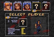 Streets of Rage 3 - Shiva Ash